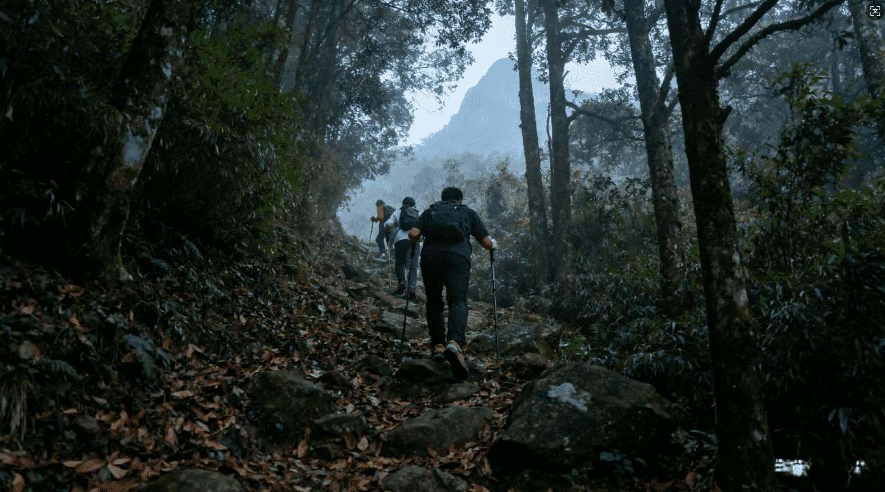 小火箭加速器出现问题怎样快速修复
